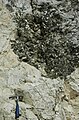 Large mica crystal in pegmatitic granite (Ruggles Pegmatite, Devonian; Ruggles Pegmatite Mine, New Hampshire, USA) 1 (8290567917).jpg