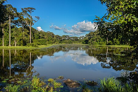 Dulahazara Safari Park is home to at least 4,000 animals of 165 species. It was developed on an undulating landscape of around 2,224 acres of area at Chakaria Upazila in Cox's Bazar District, Bangladesh.