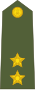 Leutnant der indischen Armee.svg