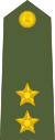 Lieutenant of the Indian Army.svg