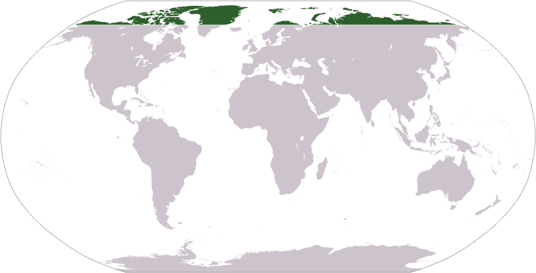 File:LocationArctic.png