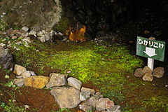 Светящийся мох в пещере Маккаусу, Раусу, Хоккайдо.JPG