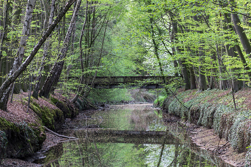 File:Münster, Wolbeck, Wolbecker Tiergarten, Angel -- 2014 -- 7131.jpg