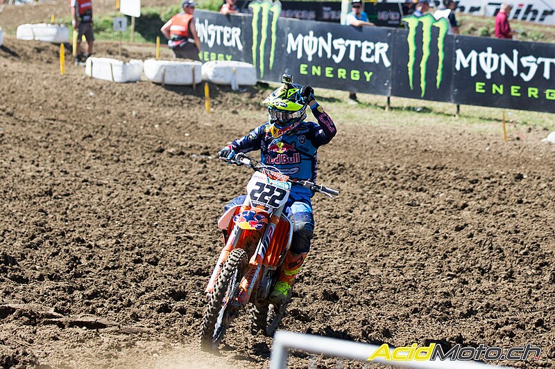 File:MXGP of Switzerland-2016- Cairoli 222.jpg