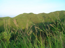 Green grass covering mountains in Maasin Maasin City Green Mountains.png