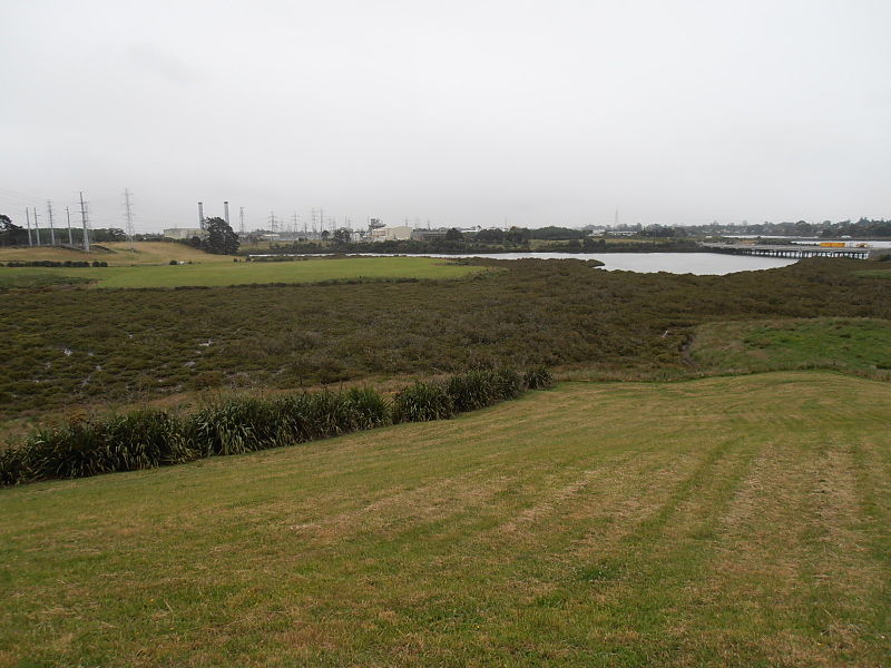 File:Mangroves Highbrook4.jpg