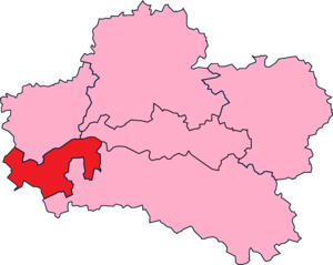 Loiret's 1St Constituency