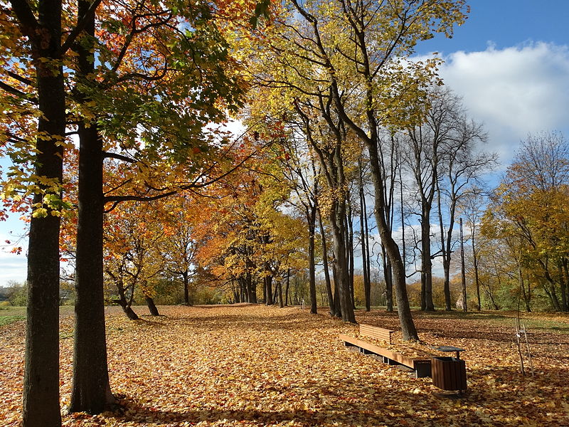 File:Marijampolės Kvietiškio parkas.JPG