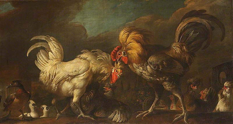 800px-Melchior_de_Hondecoeter_(1636-1695)_(style_of)_-_Two_Cocks_Fighting_-_609075_-_National_Trust.jpg (800×427)