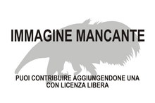 Immagine di Pseudoglyptodon mancante