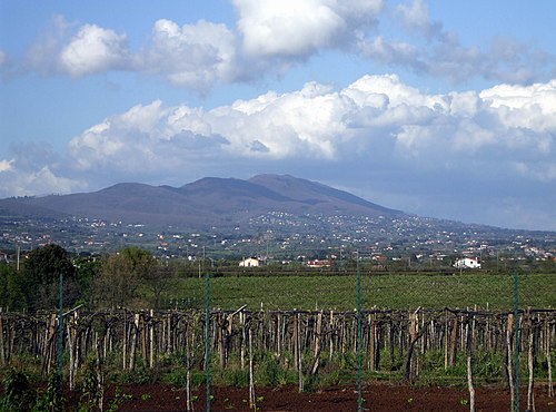 Mount Artemisio overshadows Velletri