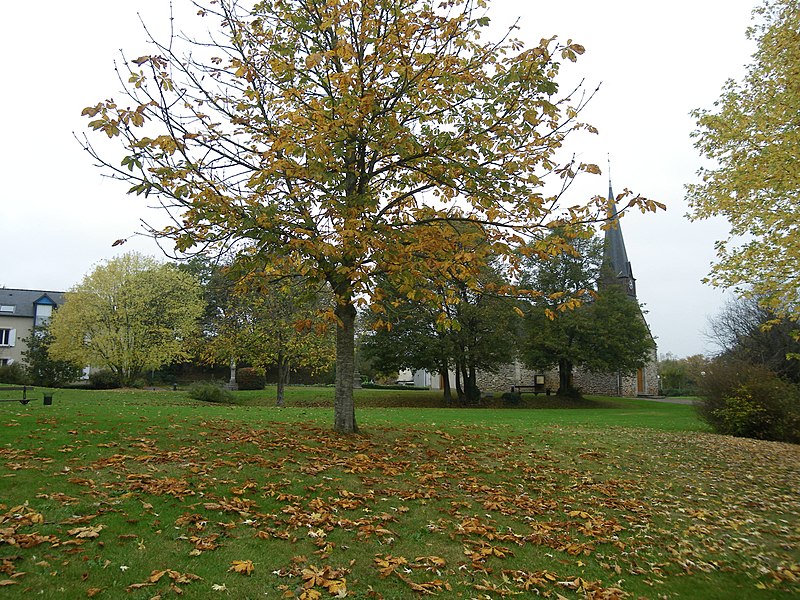 File:Montgermont - panoramio.jpg