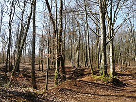 Montreuil-sur-Thonnance