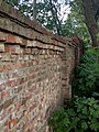 Mur dawnego cmentarza ewangelickiego w Buku.jpg