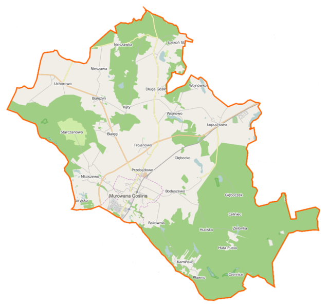Mapa konturowa gminy Murowana Goślina, blisko centrum po lewej na dole znajduje się punkt z opisem „Murowana Goślina”