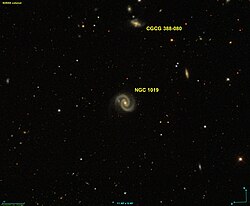NGC 1019 SDSS.jpg
