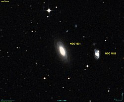 NGC 1031