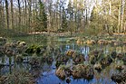 Naturschutzgebiet "Lohn" [D]