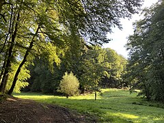 Dörpfelder Bach mündet in Strucksfelder Bach