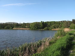 Hráz Novostrašeckého rybníka
