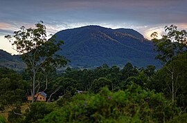 Nimbin 2017.jpg