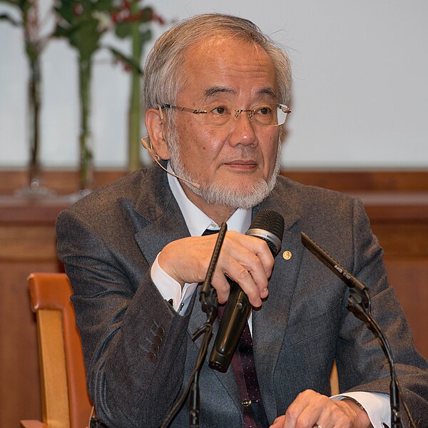 File:Nobel Laureates Yoshinori Osumi 2016 (31117193770).jpg