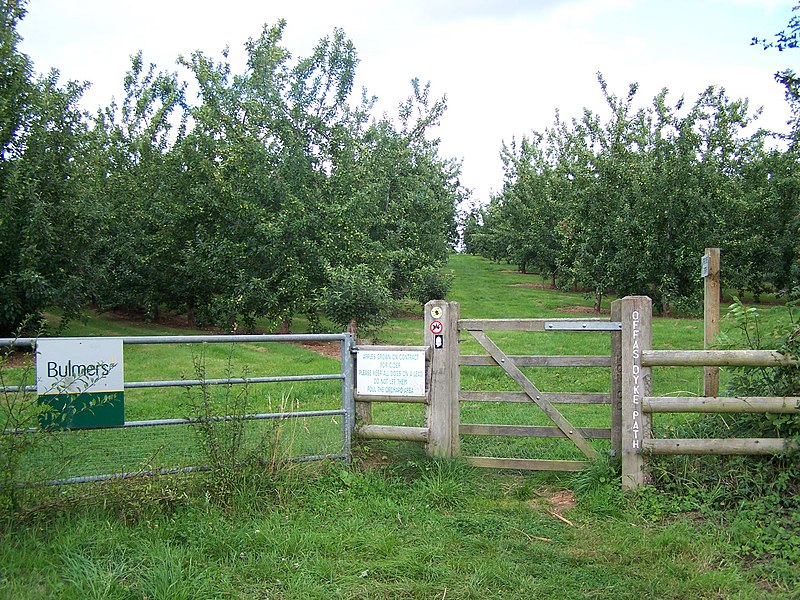 File:Offa's Dyke Path - geograph.org.uk - 2026817.jpg