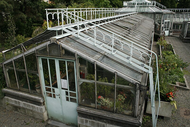 File:Old greenhouse Liege 1.jpg