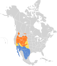 Oreoscoptes montanus map.svg