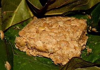 <span class="mw-page-title-main">Kinema</span> Nepali fermented soybean