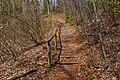 * Nomination Staircase at the western part of the forest hiking trail Glorietteweg in Leonstein, Pörtschach, Carinthia, Austria -- Johann Jaritz 02:04, 26 April 2023 (UTC) * Promotion  Support Good quality. --Rjcastillo 02:07, 26 April 2023 (UTC)