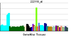 PBB GE CENPN 222118 ĉe tn.png