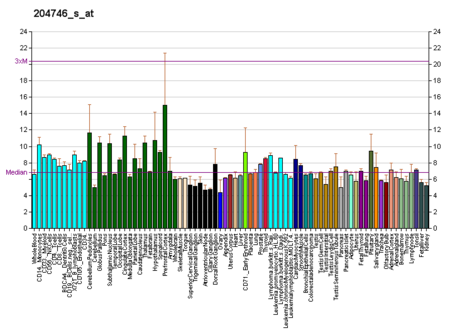 File:PBB GE PICK1 204746 s at fs.png