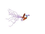 PDB 1iuy EBI.jpg