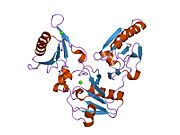 1nph: Gelsolin Domains 4-6 in Active, Actin Free Conformation Identifies Sites of Regulatory Calcium Ions