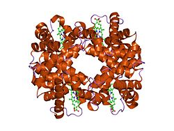 PDB 1y31 EBI.jpg