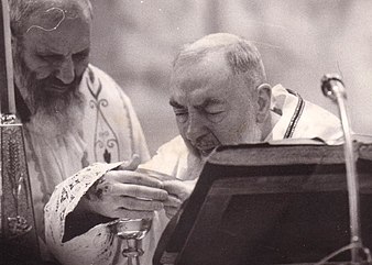 Pio Da Pietrelcina: Biografia, I sospetti e il dibattito sulle stimmate, La presunta profezia su Giovanni Paolo II