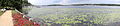 Panorama of Wannsee Lakeshore - From Villa Marlier - Where 1942 Wannsee Conference Was Held - Wannsee - Berlin - Germany.jpg