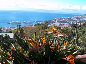 funchal travel guide