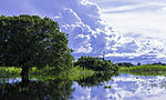 Miniatura para Parque Nacional do Pantanal Matogrossense