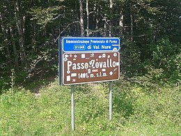 Cartel de Passo Zovallo.jpg