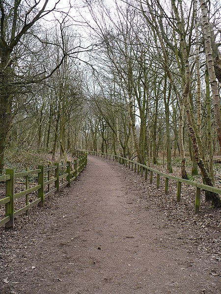 File:Pathway, Sherwood Forest - geograph.org.uk - 1714345.jpg