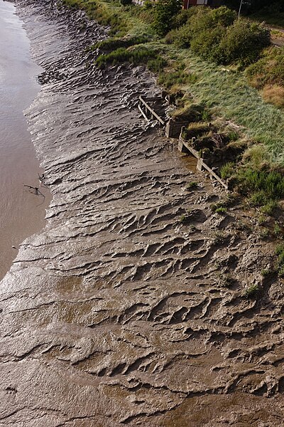 File:Patterns in mud.jpg