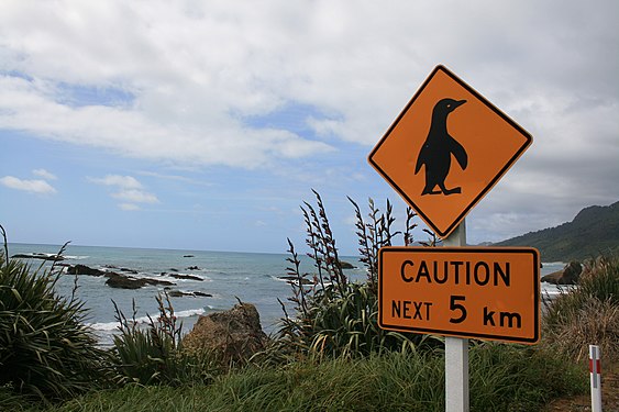 Caution, pinguins!