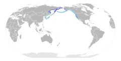 Phalacrocorax pelagicus map.svg