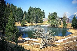 <span class="mw-page-title-main">Lac des Joncs</span> Body of water