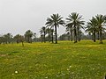 Thumbnail for Eshkol National Park