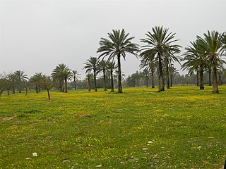 <span class="mw-page-title-main">Eshkol National Park</span>