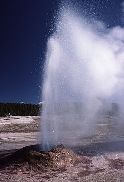 Erupce Pink Cone v roce 1977