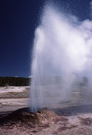 <span class="mw-page-title-main">Pink Cone Geyser</span> Geyser in the Lower Geyser Basin of Yellowstone National Park